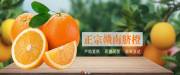 江西省紅耕謠農業(yè)發(fā)展有限公司和本公司簽署做網(wǎng)站項目