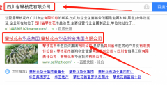 攀枝花市華芝投資集團有限公司和本公司簽約網(wǎng)站設計合同