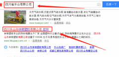 四川樂山市林頓塑膠有限公司與本司簽約網站設計協(xié)議