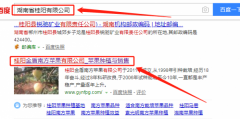 桂陽金盾南方蘋果有限公司和本公司簽約網站開發(fā)合同