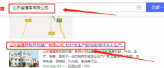 山東省蓬萊制藥機械廠有限公司和我公司簽訂網(wǎng)站建設(shè)項目