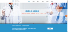 企業(yè)網(wǎng)站設計網(wǎng)站從業(yè)人員