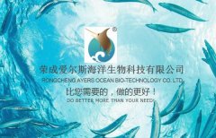 榮成愛*斯海洋生物科技有限公司網(wǎng)站建設(shè)新一代自助建站、智能建站系統(tǒng)