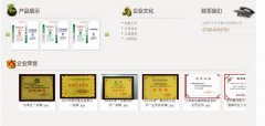 江西樂(lè)平*年青水泥有限公司網(wǎng)站建設(shè)營(yíng)銷(xiāo)型案例作品