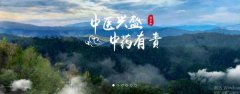 普洱淞*醫(yī)藥集團(tuán)有限公司網(wǎng)站建設(shè)新一代自助建站、智能建站系統(tǒng)