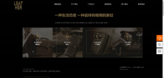 企業(yè)網(wǎng)站建設以擬像仿真解構(gòu)視覺信息