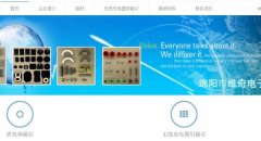 綿陽市維*電子技術有限公司網(wǎng)站設計展示型案例作品