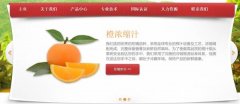 南充佳*食品工業(yè)有限公司制作網站可視化建站作品欣賞