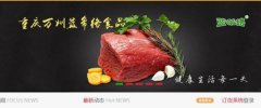 重慶市萬州藍(lán)*絡(luò)食品有限公司網(wǎng)站設(shè)計有創(chuàng)意的主題設(shè)計