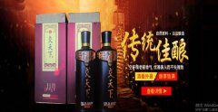 江蘇泗洪縣雙*釀酒有限公司制作網(wǎng)站經(jīng)典網(wǎng)頁模板網(wǎng)站建設釀酒行業(yè)作品欣賞