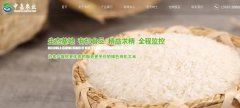 豐城市中*農(nóng)業(yè)發(fā)展有限公司網(wǎng)站建設(shè)新一代自助建站、智能建站系統(tǒng)